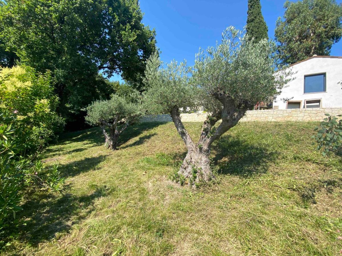A Casa Bianca Hotel Saint-Paul-de-Vence Ngoại thất bức ảnh