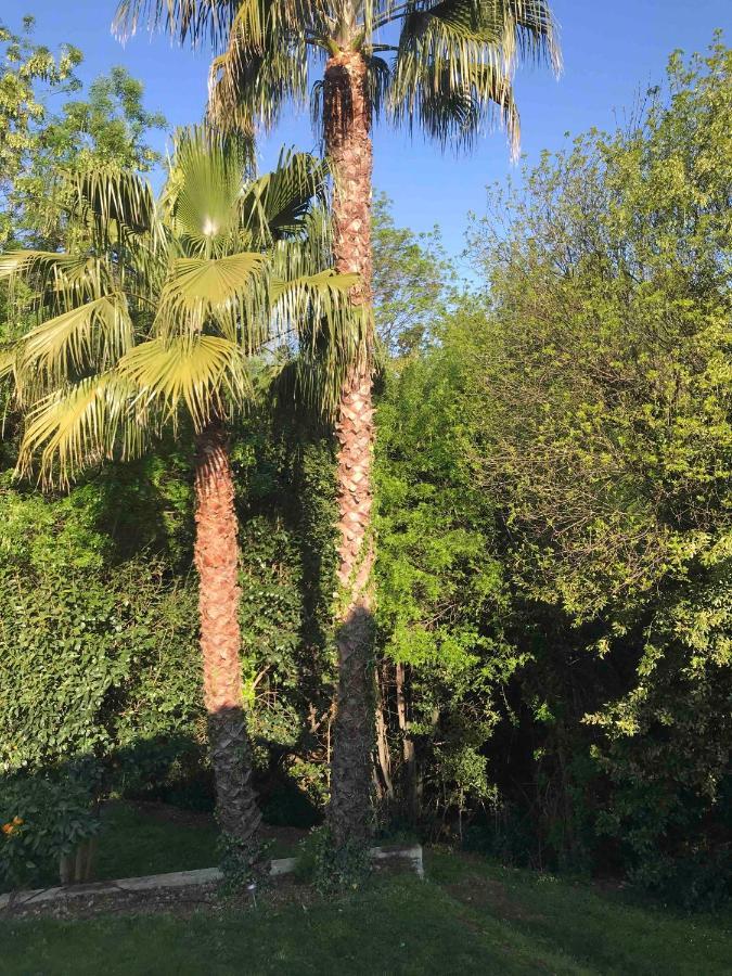 A Casa Bianca Hotel Saint-Paul-de-Vence Ngoại thất bức ảnh